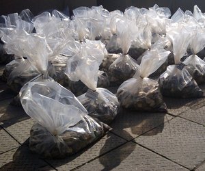 Duisende perlemoen gevind